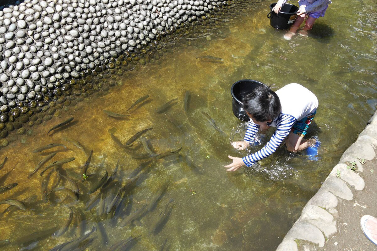 夕やけ小やけふれあいの里キャンプ場検索・予約サイト なっぷ
