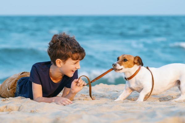 ハワイ語ペットの名前ガイド性別や特徴おすすめ一覧 2025アロハ旅ナビ
