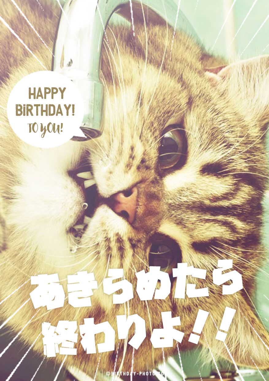 お誕生日を当日に思い出した時に便利なアイテム