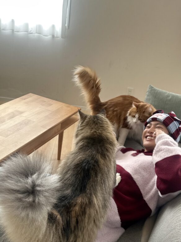 三山凌輝rちゃん親のTikTok