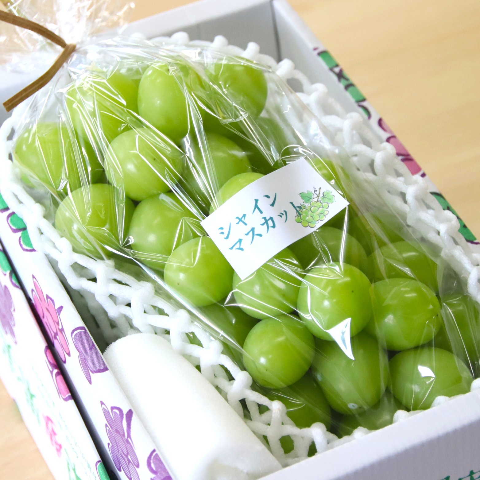 鉢植えの花 プレゼント 選べるミディ 胡蝶蘭 生花 産地直送 洋ラン 鉢花 ギフト 還暦祝い 女性 母 祖母 古希 喜寿のお祝い 50代 60代70代 80代LINEブランドカタログ