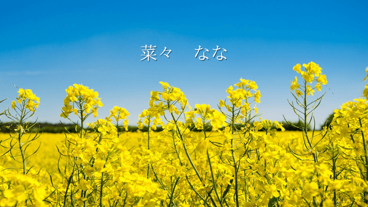 奇抜すぎない可愛い女の子の名前！人気の漢字別特集赤ちゃんの名づけお役だち情報