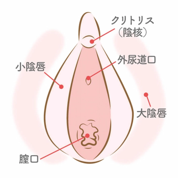 楽天ブックス: 爛熟女盛り 2021年