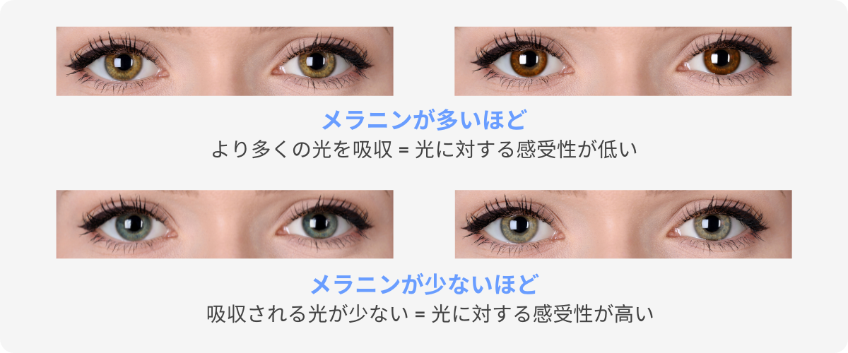 J君はオッドアイ！？カエルの子育て元不登校の子どもたち、株デイトレ、生き物飼育の超雑記ブログ！