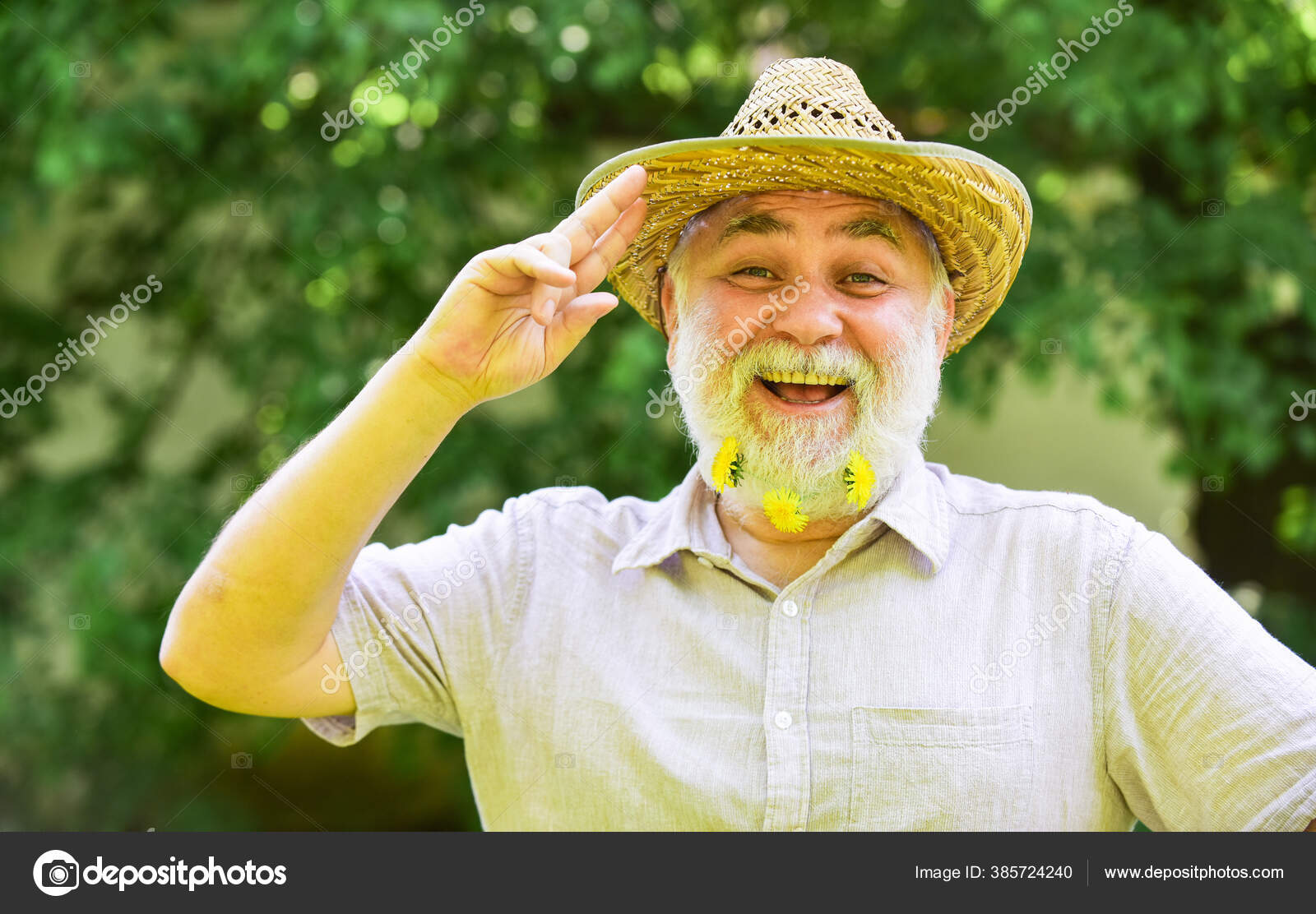 白ひげさんの写真・画像素材-Snapmart スナップマート