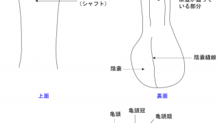 きれいなペニスはいつも最高のディックです