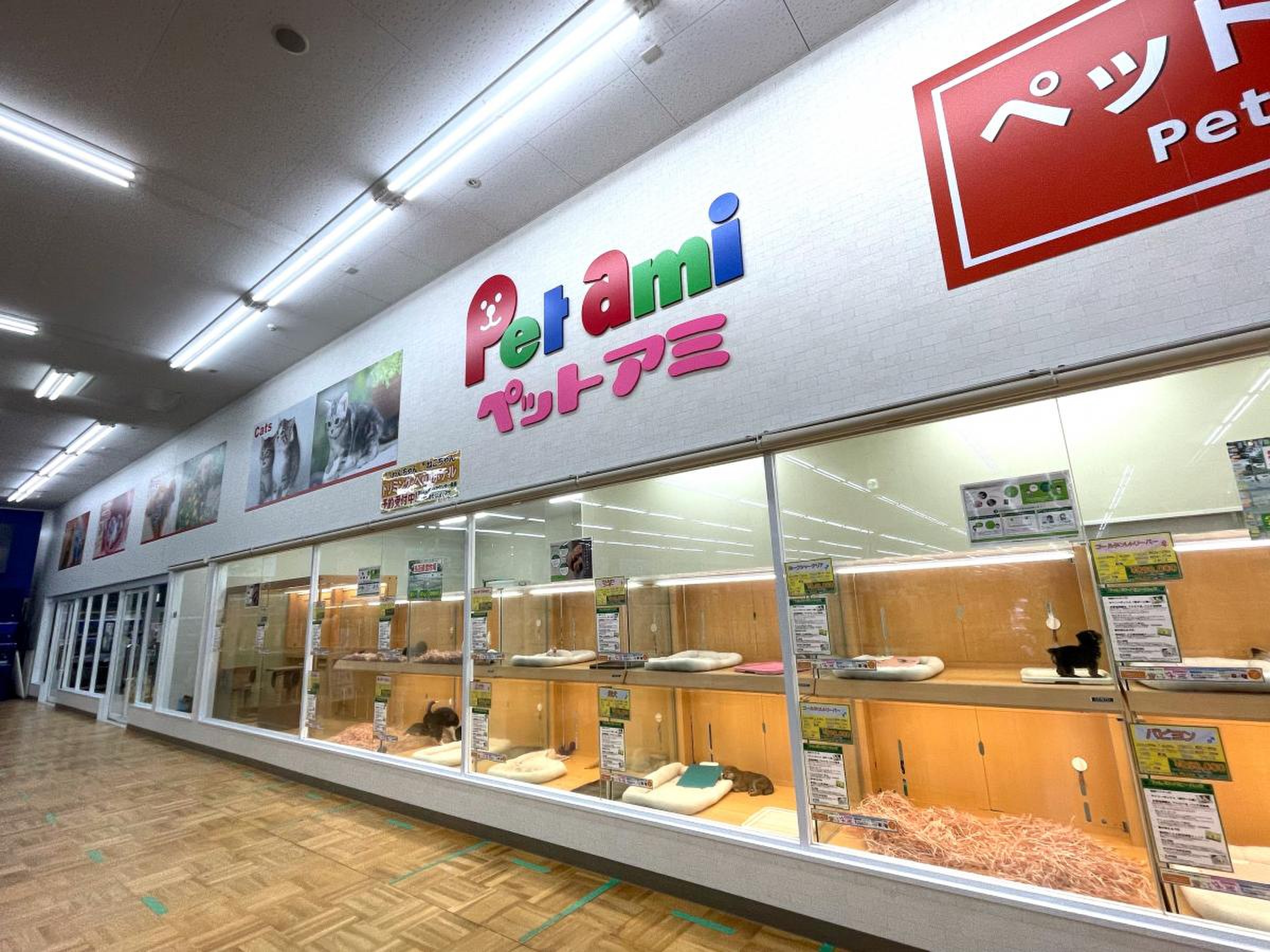 コメリ パワー河渡店 共同出張所