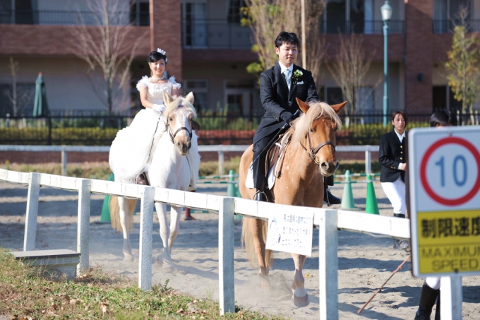 馬と一緒に前撮りプランウエディング 写真 東北 宮城 仙台 記念 写真 チケット クーポン 入場券 体験 結婚式0093 マイナビふるさと納税