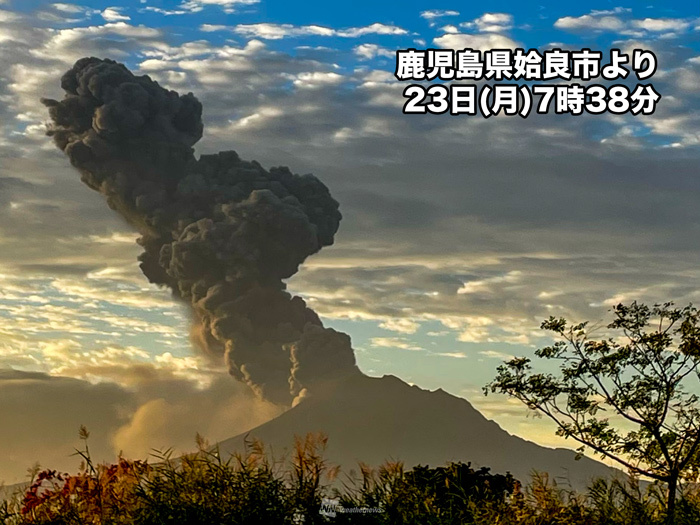 鹿児島のニュース｜MBC NEWS｜南日本放送