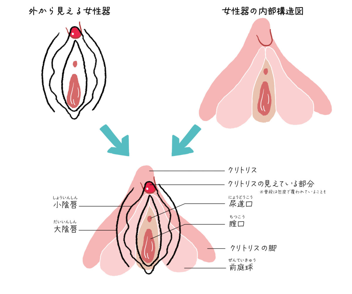 溺愛クリ勃起でイカせたい！（※注意）アナウンサーの元カレは執愛こじらせ過ぎてます(ミルキースパイス) - FANZA同人