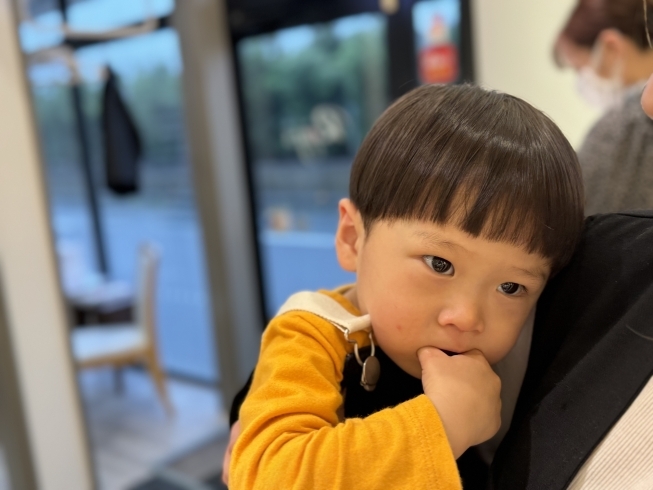 黒川真伍の刈り上げマッシュカタログコラム 美容室 NYNY 姫路広畑店 黒川 真伍ヘアサロン・美容院ニューヨークニューヨーク