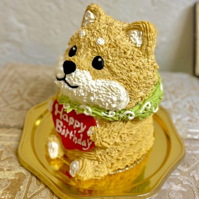 若松区浜町の洋菓子店「わん菓子工房mionon」 犬用バースデーケーキが好評北九州ノコト