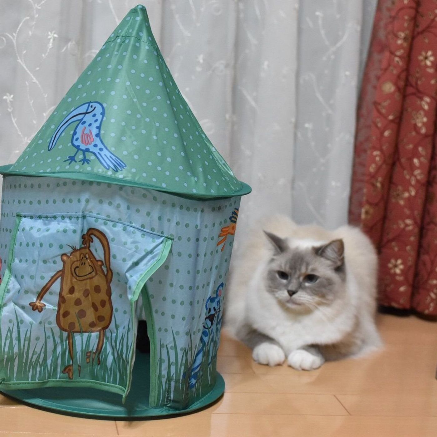 テント 品番：ZBRH0008948 Flying Tiger Copenhagen フライング タイガーコペンハーゲン のファッション通販SHOPLIST ショップリスト