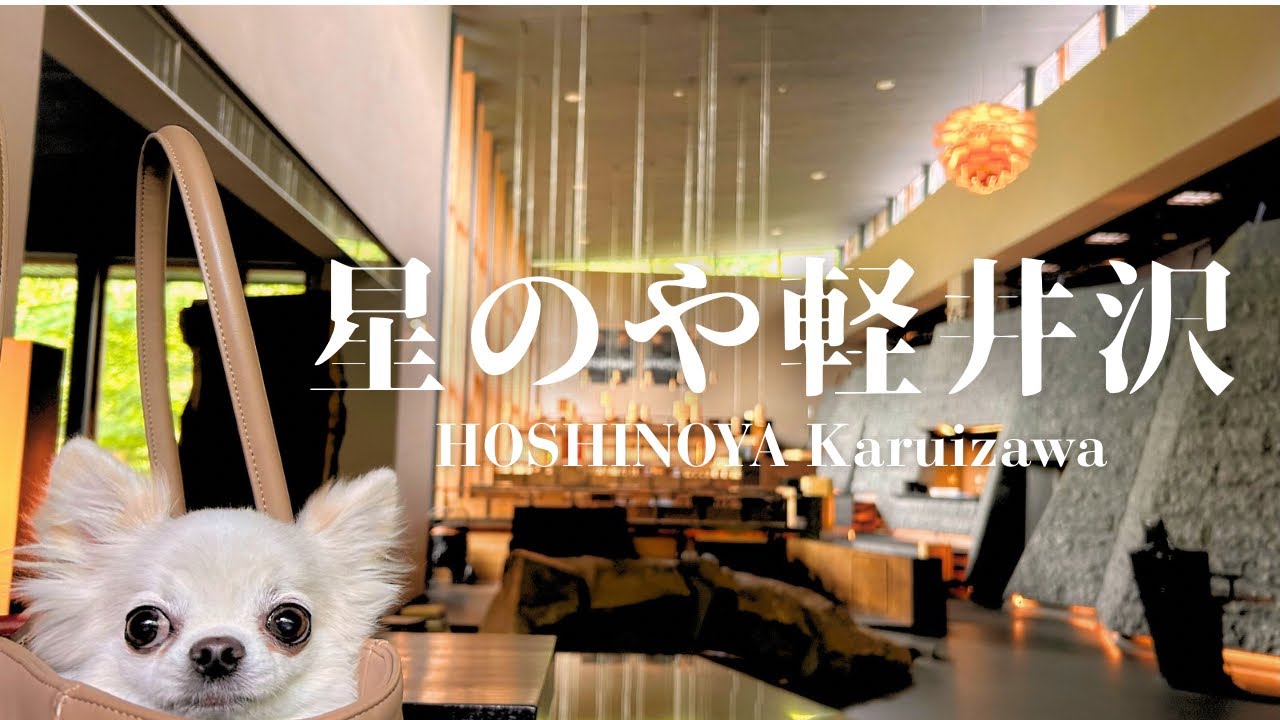 愛犬と泊まれる宿 - 愛犬と一緒に旅行しよう