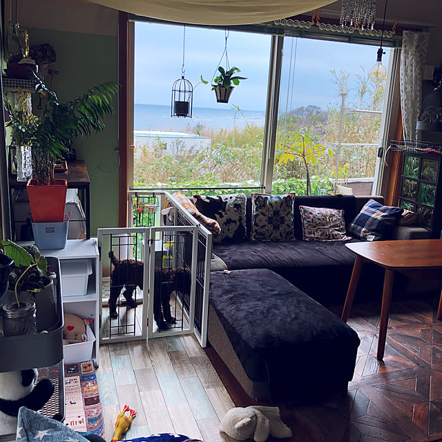 楽天市場 bingopaw 犬用ケージ 屋根付き 連接可能 中型犬 小型犬 2匹 白 黒 頑丈 トレー付き 犬ケージサークル 室内 犬小屋 木製おしゃれ ペットケージ ウッディサークル インテリア ドッグケージ L ホワイト ブラック : Unho Space