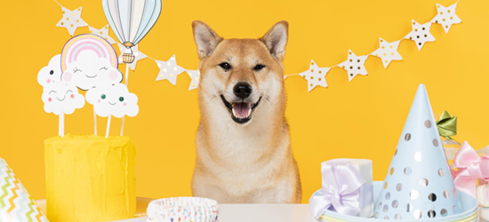 付き合って半年の記念日はどう過ごす？気持ちが深まるきっかけは心のこもったプレゼントGiftpedia byギフトモール&アニ