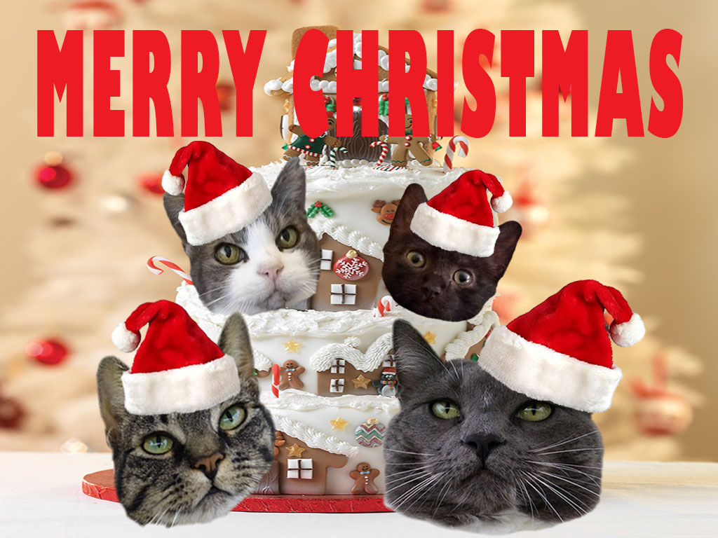 英語でつづるメッセージ！サンタさんへ特別なクリスマスカードを贈ろう子供英語タイムズ 公式 「ディズニー英語システム」 DWE 子供・幼児英語 教材ワールド・ファミリ