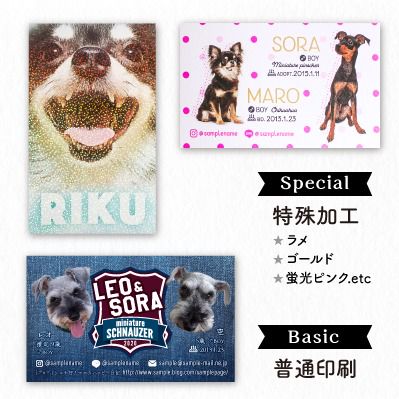 多頭飼いオーナー様注目♪ 2匹飼い用ペット名刺が加わりました☆RichKids ペットの写真で作るオーダーメイドグッズのお店 店長ブログ