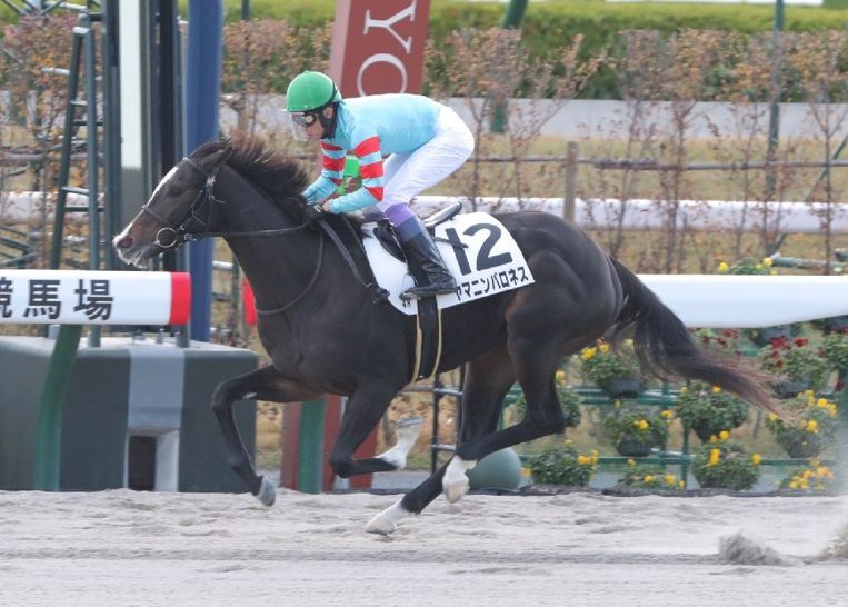 優馬2歳馬チェックランキング・牡馬編 | 競馬専門紙「優馬」