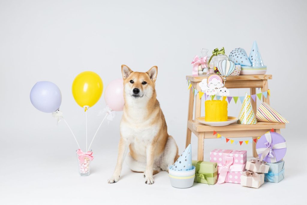 2025年 犬好きの人が喜ぶプレゼント 人気ランキング15選！おしゃれなものやお菓子などを厳選！プレゼント＆ギフトのギフトモール