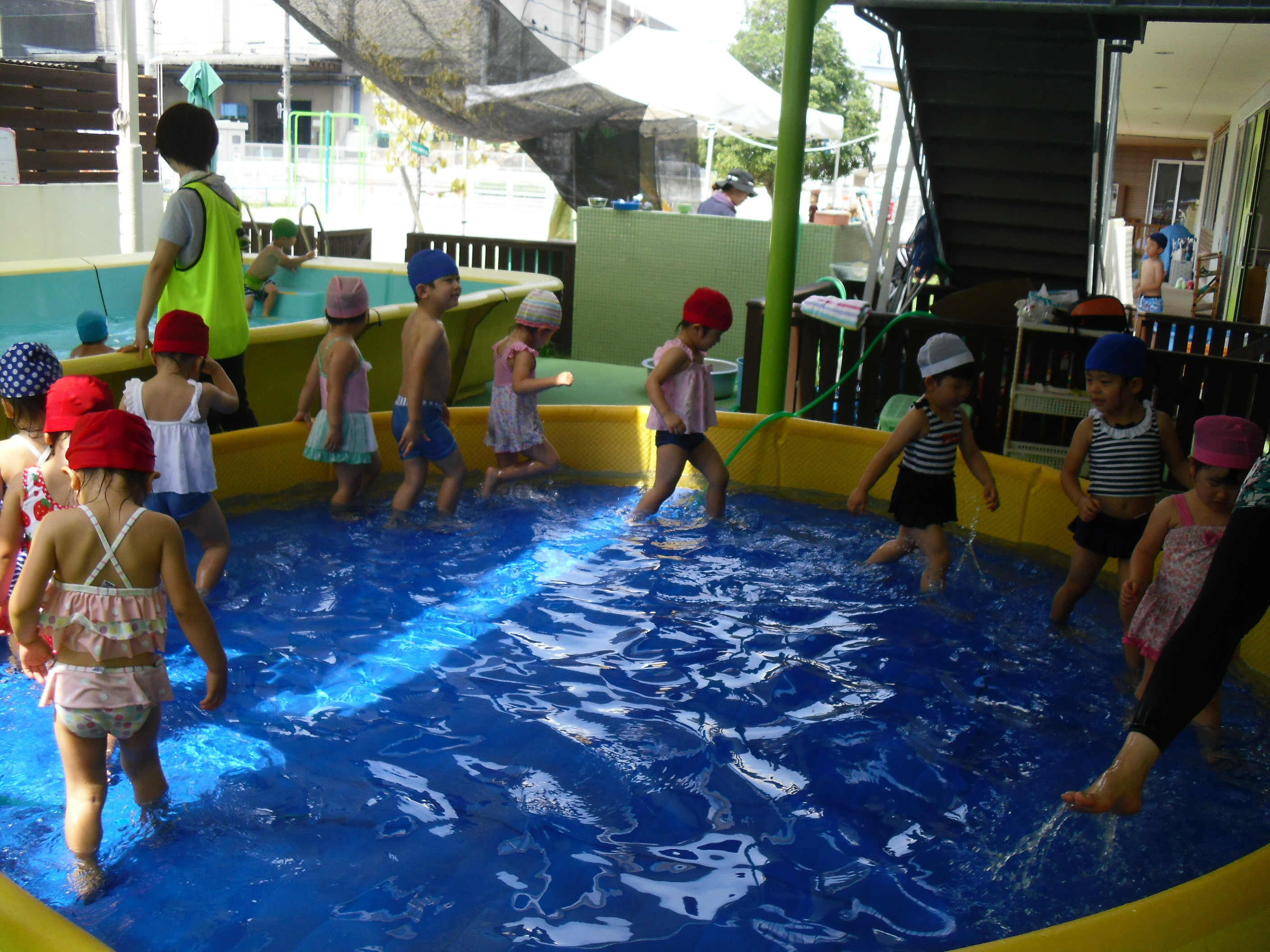 民家のプールにワニが迷い込む、体長２メートル超 米フロリダ州 - CNN.co.jp