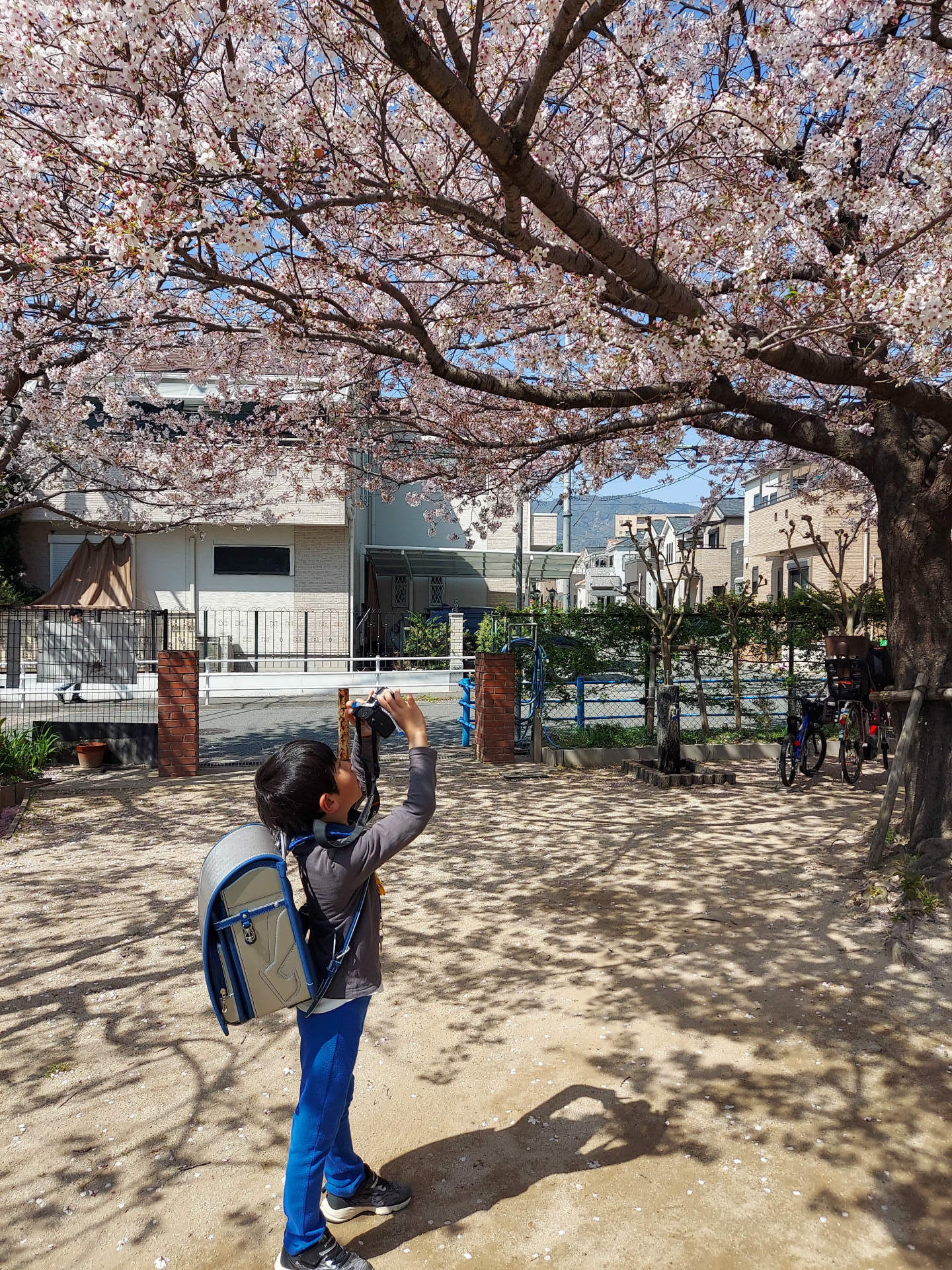 近所の道を歩いている可愛い小さな男の子の肖像画無料写真