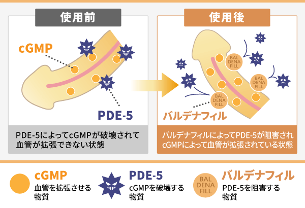 レビトラについて | ED治療・早漏治療・AGA治療ならユニティクリニック（ユナイテッドクリニックグループ）