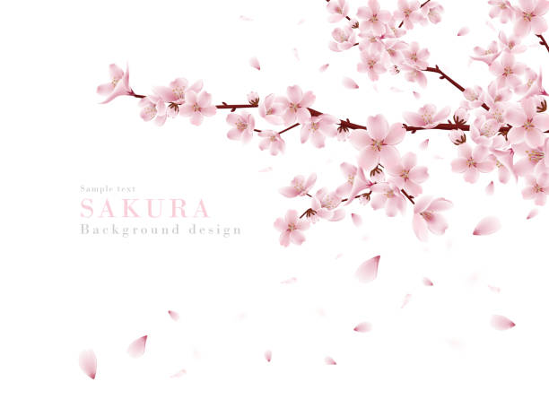 卒業式 桜 学校と校庭 無料イラスト40862素材Good