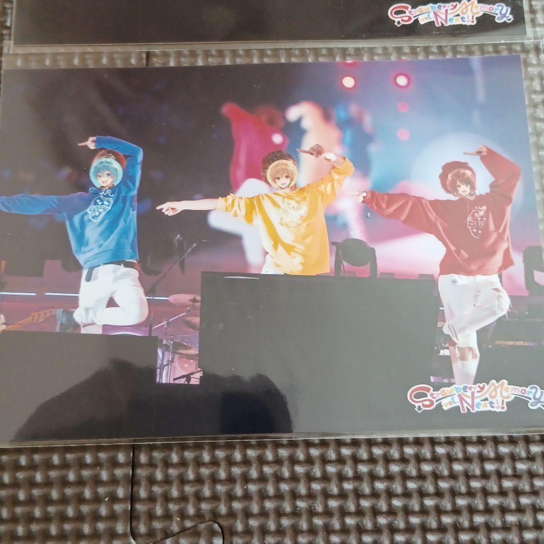 すとぷり信号機組のナイショな雑学 アニメ