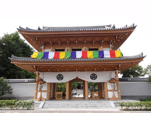 傳通院旅サラダPLUS 観光・お出かけSPOT