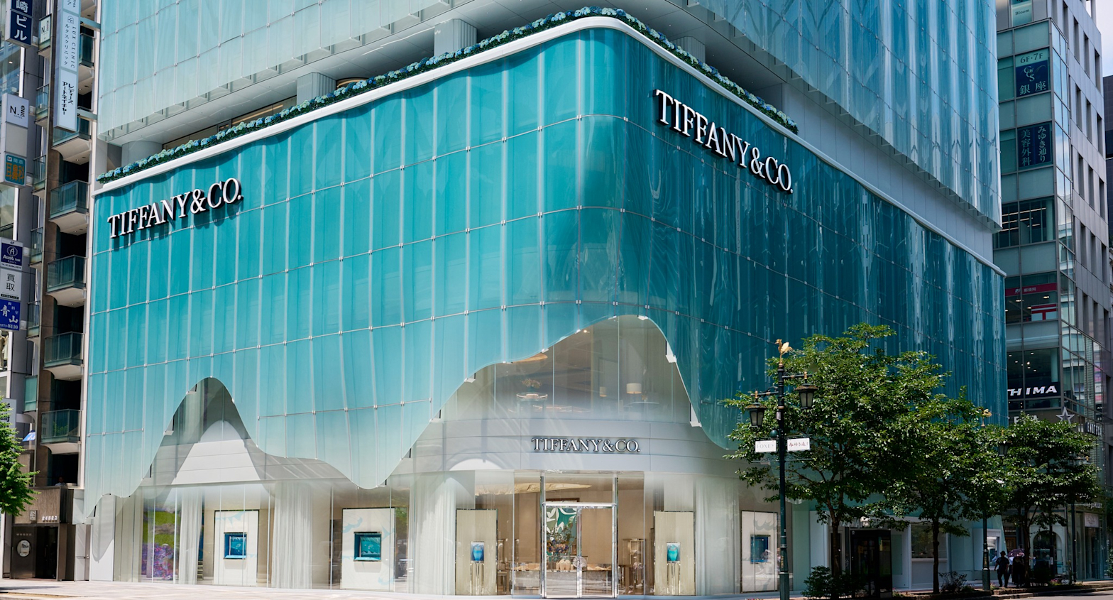 表現者の現場 ⑱ 洋画家・青木成実さん 阿南市心に届く光に心象込めて 本質を追究し元気与える文化・芸能徳島ニュース徳島新聞デジタル