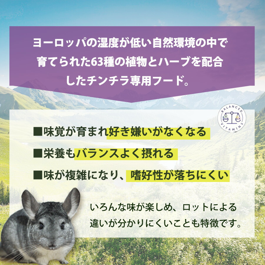 タイ怪人紀行角川文庫 け 4-1ゲッツ板谷, 西原 理恵子, 鴨志田 穣 本通販Amazon