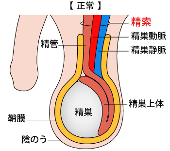 お風呂の排水口は精液で詰まるものですか？我が家のお風呂場の排水口には - Yahoo!知恵袋