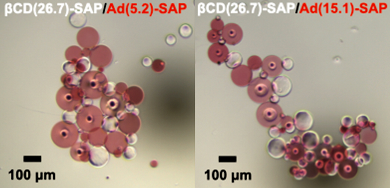 ㋰責任集合体short cover