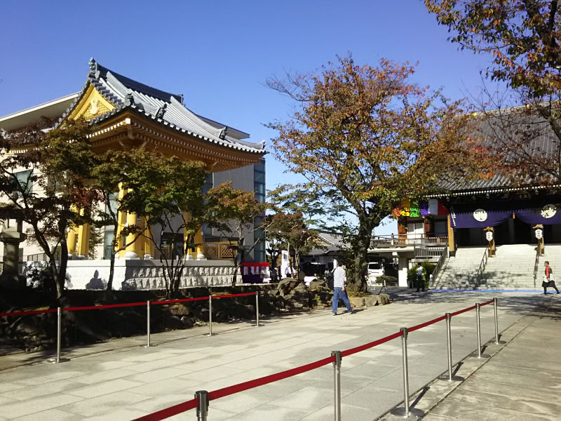 傳通院 でんづういん文京区