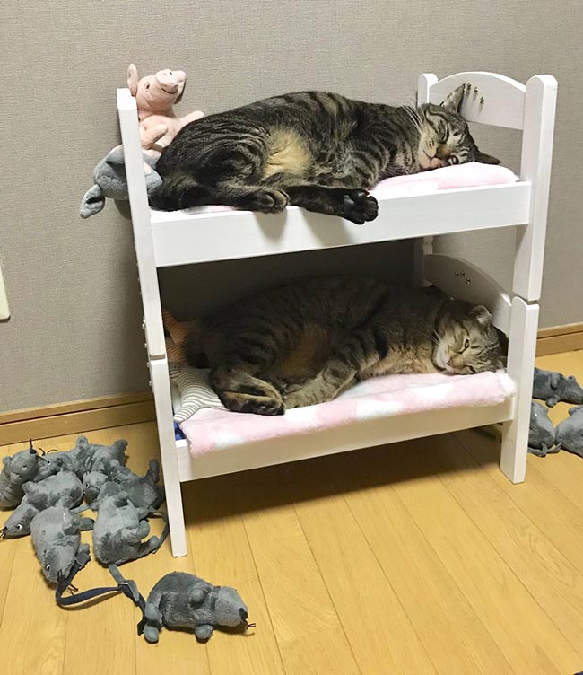 ハンドメイド リカちゃんハウスのおしゃれなアレンジ・飾り方のインテリア実例RoomClip ルームクリップ