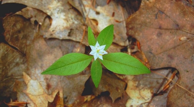 左右対称の男の子の名前 二文字編 真、貴、奏、など、左右対称の漢字を組み合わせた二文字の名前です。 左右対称の名前は調和が取れた美しさと安定感があり、印象に残りやすくなります。・名付けポン名付け名前男の子の名前赤ちゃんの名前かっこいい名前
