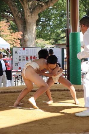 バヤンホンゴルのこどもたちは大草原で相撲を練習
