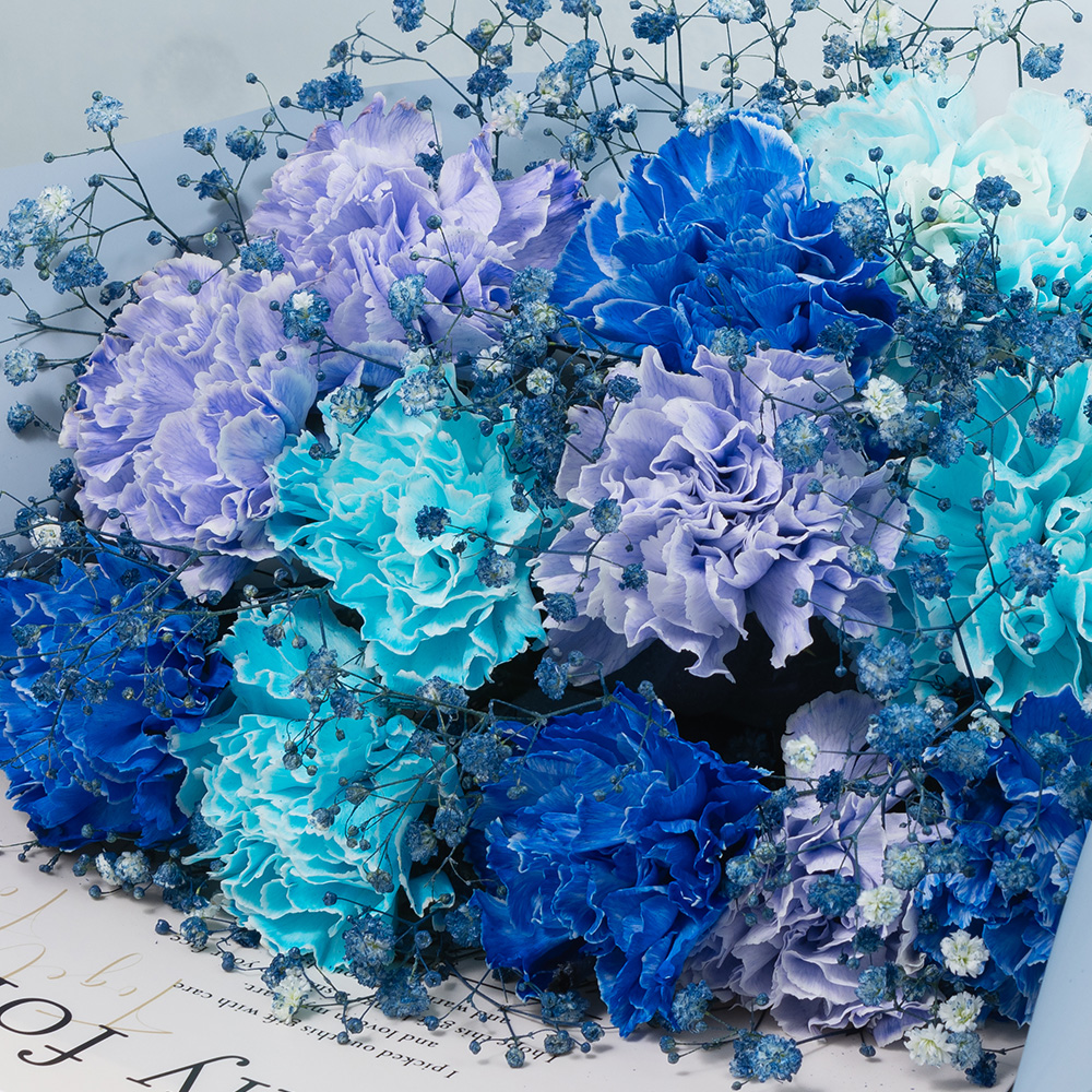 母の日 おすすめの花のギフト・プレゼント特集2025花・花束・フラワーギフトの宅配・通販は花キューピット