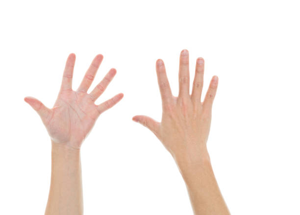 男性の手」のアイデア 33 件手の写真, 手のスケッチ, 手 写真