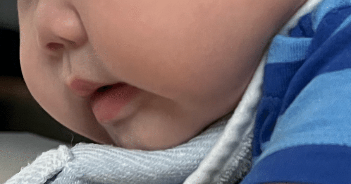 もちもちほっぺをスリスリちゅ 生後6ヵ月の双子赤ちゃんの2年後の姿が尊い「可愛いが2倍」「愛おしいがダダ漏れしてる」eltha エルザ