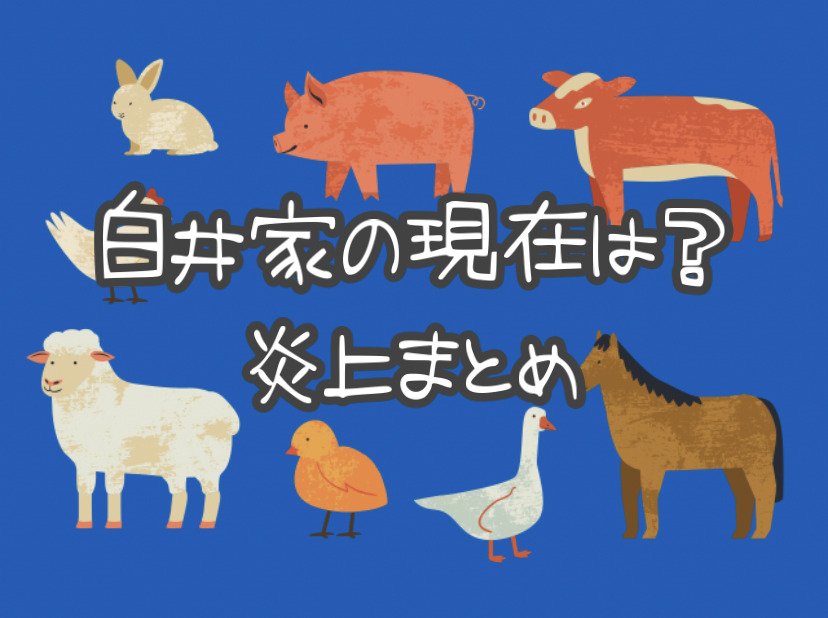 天才！志村どうぶつ園の白井家のニュースについて。率直に思った事。いぬプロPSDドッグサポートセンタ
