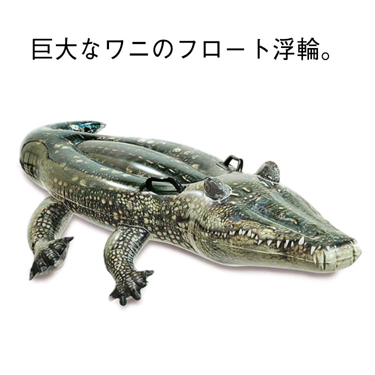 ワニ泳ぎも上手でしょ！？十全保育園スタッフブログ