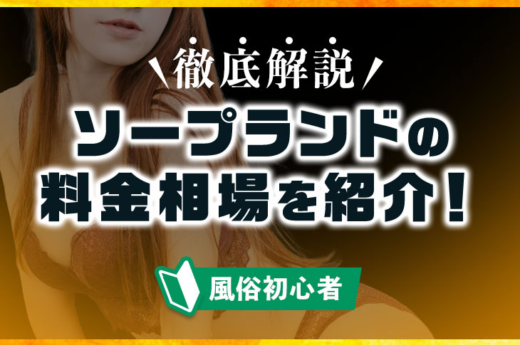 ソープランドでかかる料金を完全解説！システムや全国の総額相場も紹介 - 風俗おすすめ人気店情報