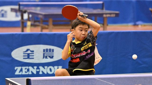 Mary Meyerパティシリーズ ぬいぐるみ パティナーサリー バンビ ラブリー Fawn アニマルベビー キッズ ファーストトイ赤ちゃん 男の子 女の子 ギフト プレゼント 出産祝いpuacoco_baby