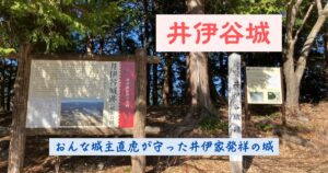 暗殺された夫の遺志を継いだ女城主・田鶴 関水渚 の奮戦と壮絶な最期 どうする家康歴史・文化 - Japaaan