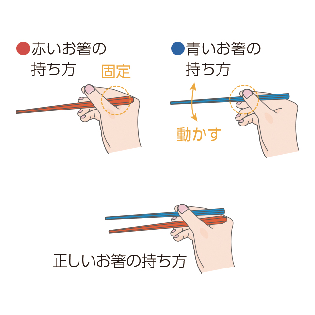 子どもで実践してみた！ お箸の持ち方・操作が上達する練習方法☆1日で出来るようになる子もいます