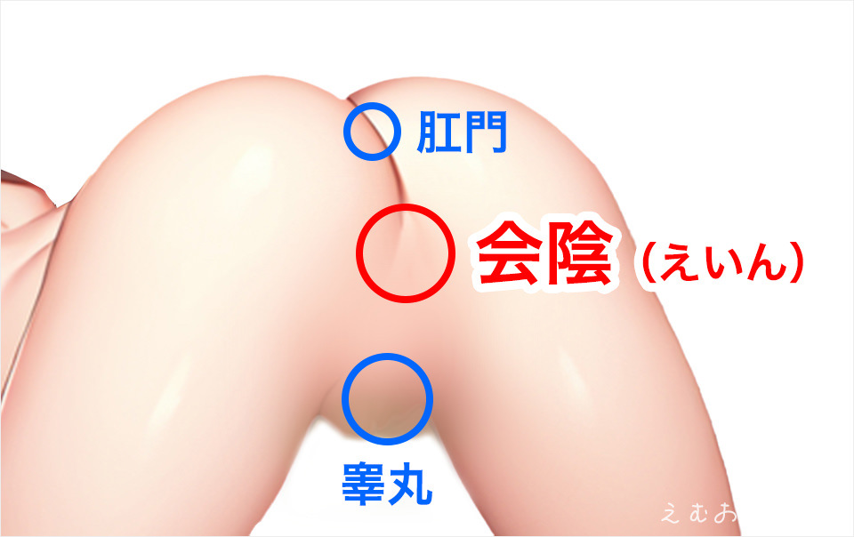 前立腺マッサージとはどんなプレイ？ 風俗エステ嬢がやり方を詳細解説 |