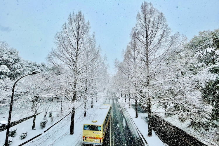 雪の多摩センター - 多摩ニュータウン.com