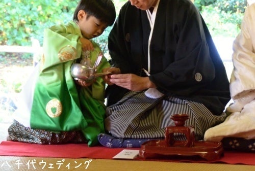 雄蝶雌蝶の写真素材 - PIXTA